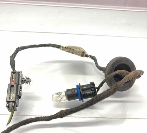 Chicote Luz Placa Traseira Gm Sonic 2012/2016