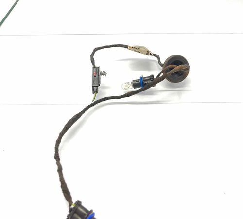 Chicote Luz Placa Traseira Gm Sonic 2012...