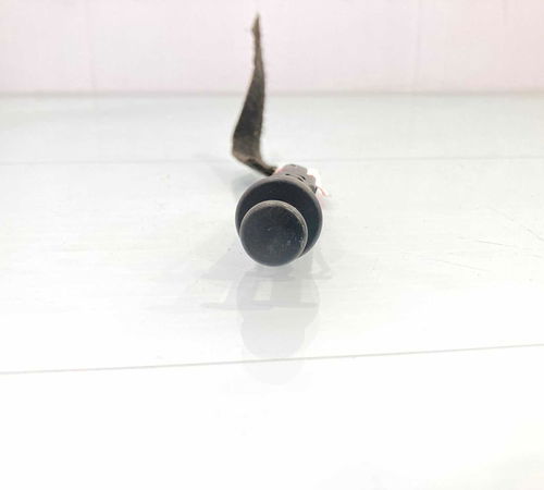 Interruptor Luz Capô Traseiro Renault Sandero 2008/2019
