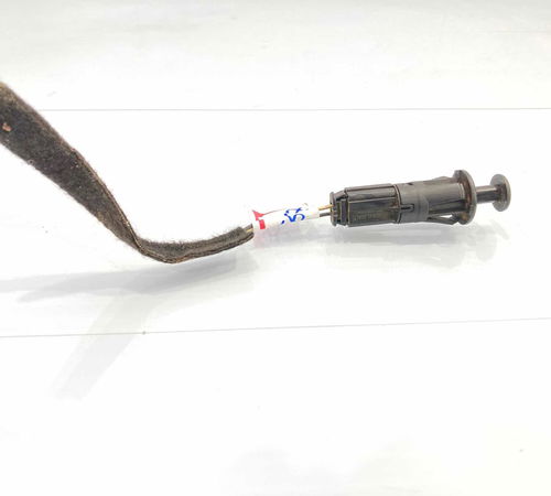 Interruptor Luz Capô Traseiro Renault Sandero 2008/2019