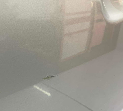 Porta Dianteira Esquerda Kia Sorento 2010/2015