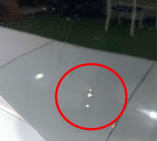 Porta Traseira Direita Honda Civic 2007/2011 Com Detalhes