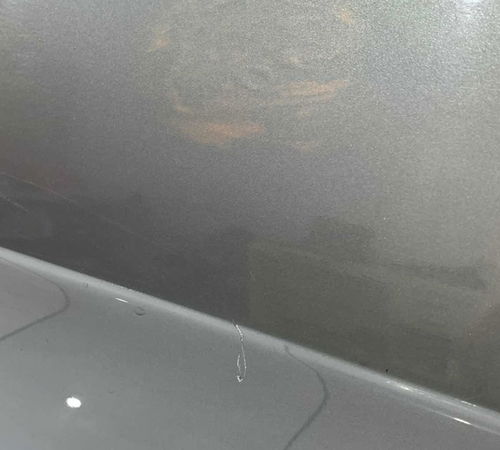 Porta Traseira Direita Fiat Palio Attractive 2012/20 C/det