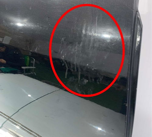 Porta Traseira Direita Toyota Fielder 2004/2008 Com Detalhes