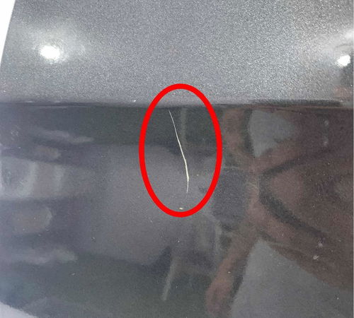 Porta Traseira Esquerda Hyundai Creta 2017/2021 Com Detalhes