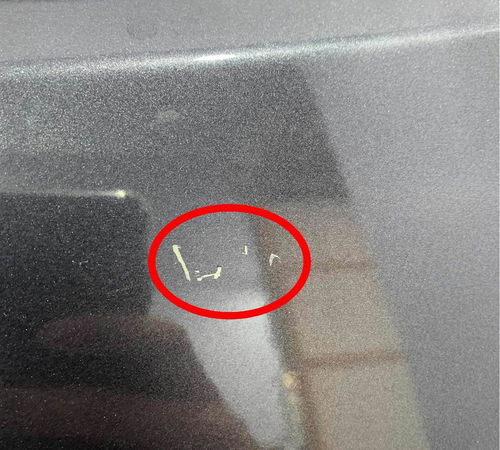 Porta Traseira Esquerda Hyundai Creta 2017/2021 Com Detalhes