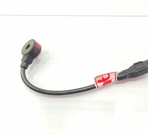 Sensor Detonação 2.0 Citroën C4 Pallas 2008