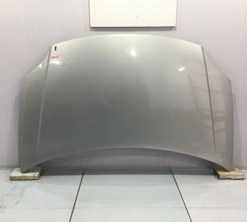 Capô Dianteiro Fiat Palio Attractive 20...
