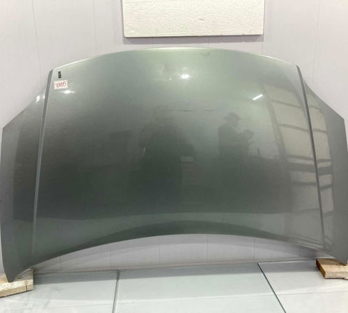 Capô Dianteiro Fiat Palio Attractive 20...