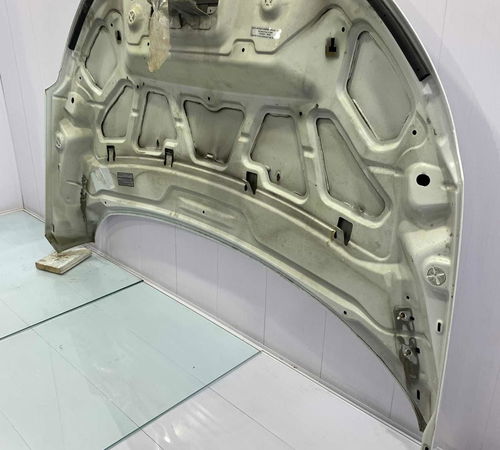 Capô Dianteiro Ford Ecosport 2013/2017