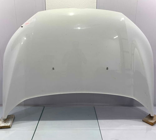 Capô Dianteiro Ford Ecosport 2013/2017