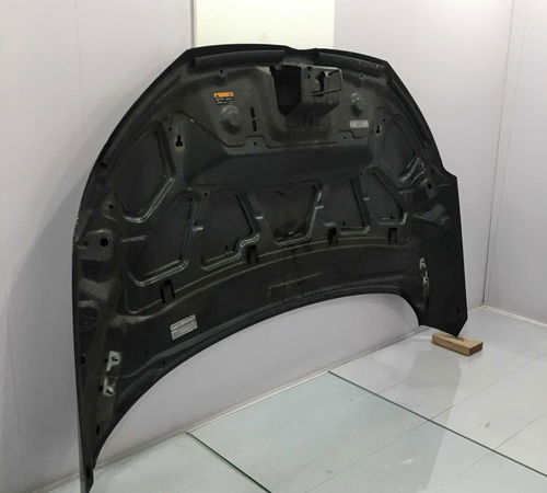 Capô Dianteiro Ford Ecosport 2013/2017