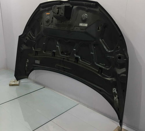 Capô Dianteiro Ford Ecosport 2013/2017