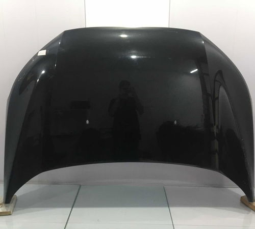 Capô Dianteiro Ford Ecosport 2013/2017