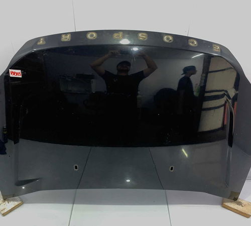 Capo Dianteiro Ford Ecosport 2007/2012