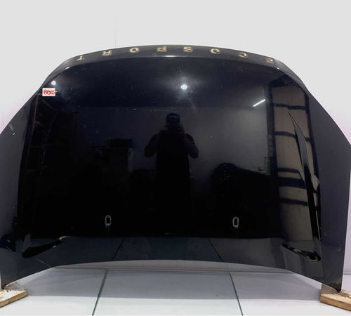 Capo Dianteiro Ford Ecosport 2007/2012