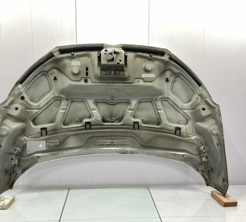 Capo Dianteiro Ford Ecosport 2013/2017