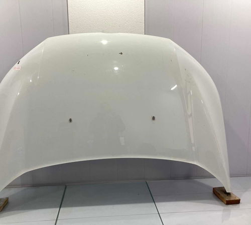 Capo Dianteiro Ford Ecosport 2013/2017