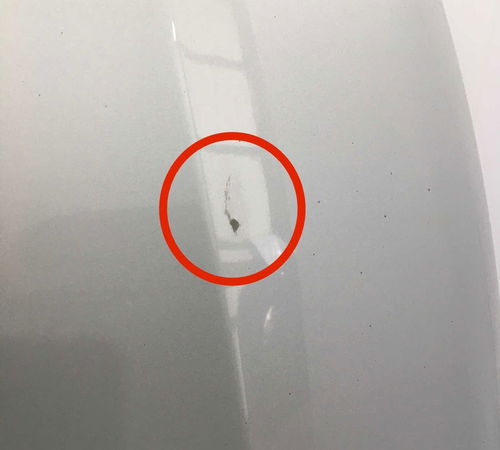 Capô Dianteiro Nissan Kicks C/detalhe 2016/2020