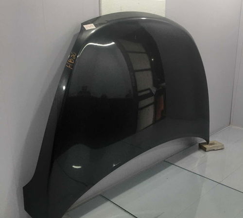 Capô Dianteiro Hyundai Hb20 C/detalhe 2013/2018