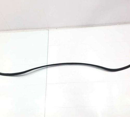 Borracha Vidro Capô Traseiro Ford Ecosp...