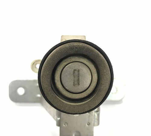Miolo Capô Traseiro Fiat Punto 2007/2012