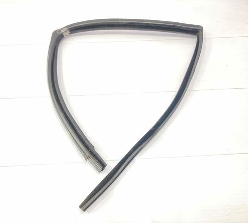 Borracha Canaleta Porta Trs. Esq. Renault Clio Hatch 2014/15