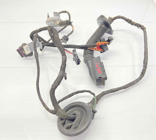 Chicote Porta Traseira Direita Audi A4 2011