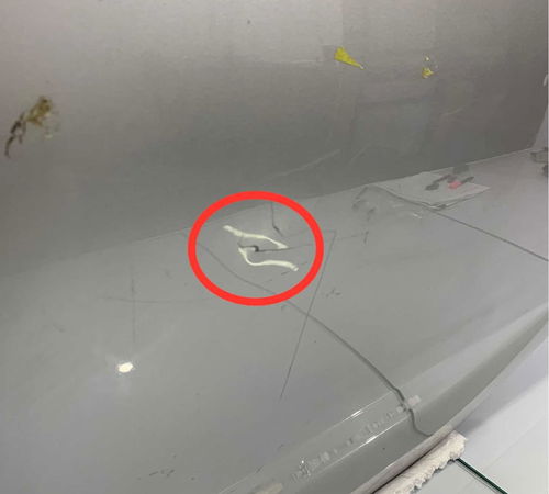 Porta Traseira Esquerda Renault Sandero 2015/2019