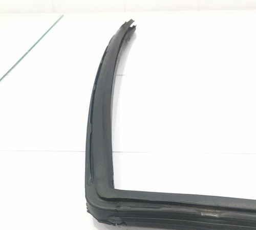 Borracha Canaleta Porta Traseira Direita Fiat Palio 05/15