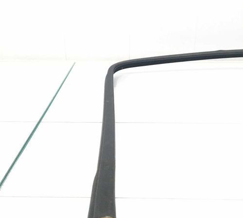 Borracha Canaleta Porta Traseira D. Citroën Xsara Picasso 10