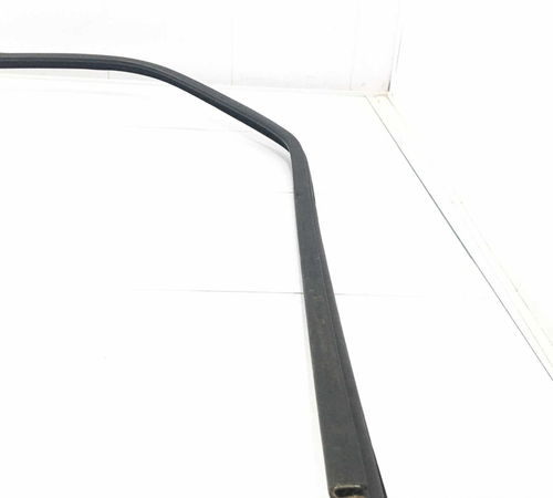 Borracha Canaleta Porta Traseira D. Citroën Xsara Picasso 10