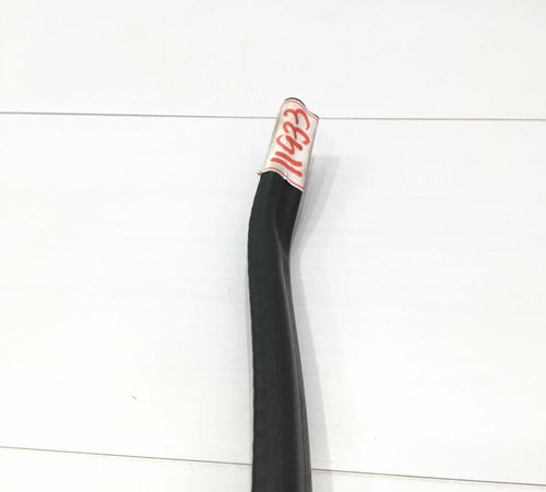 Borracha Porta Traseira Direita Citroën C3 2004/2012