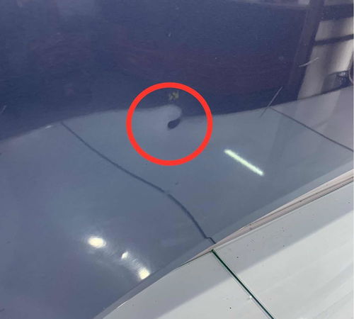 Capô Dianteiro Hyundai Hb20 2013/2018 Com Detalhes