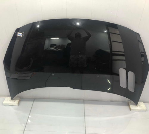Capo Dianteiro Peugeot 207 2006/2015 Com Detalhe