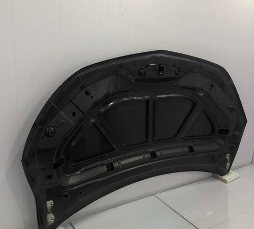 Capo Dianteiro Chevrolet Onix 2017 Com Detalhe
