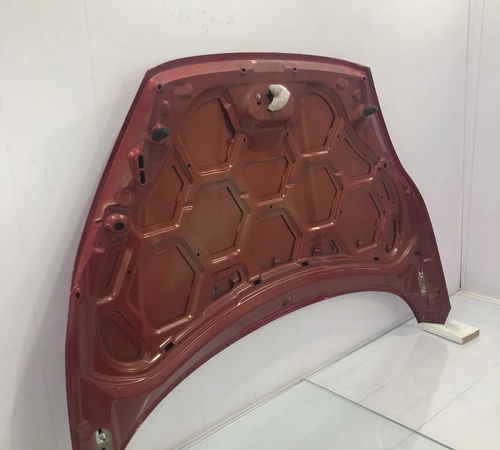 Capo Dianteiro Ford New Fiesta Hatch 12/21 Com Detalhes