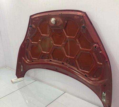 Capo Dianteiro Ford New Fiesta Hatch 12/21 Com Detalhes