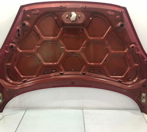 Capo Dianteiro Ford New Fiesta Hatch 12/21 Com Detalhes