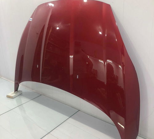 Capo Dianteiro Ford New Fiesta Hatch 12/21 Com Detalhes