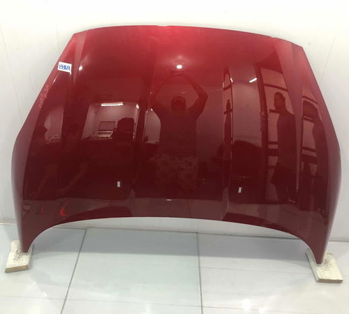 Capo Dianteiro Ford New Fiesta Hatch 12/21 Com Detalhes