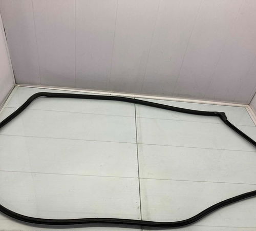 Borracha Vedação Porta Traseira Esquer...