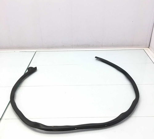 Borracha Guarnição T. E. Renault Megane Grand Tour 06/12