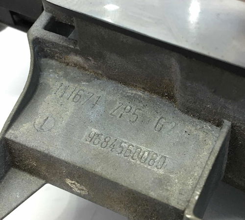 Maçaneta Externa Traseira Esquerda Citroën C3 Picasso 12/16