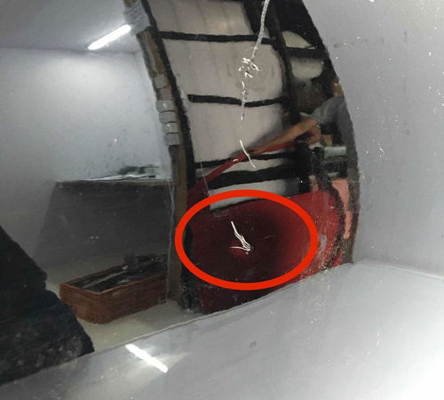 Porta Dianteira Direita Volkswagen Fox 2011/2021 C/detalhes