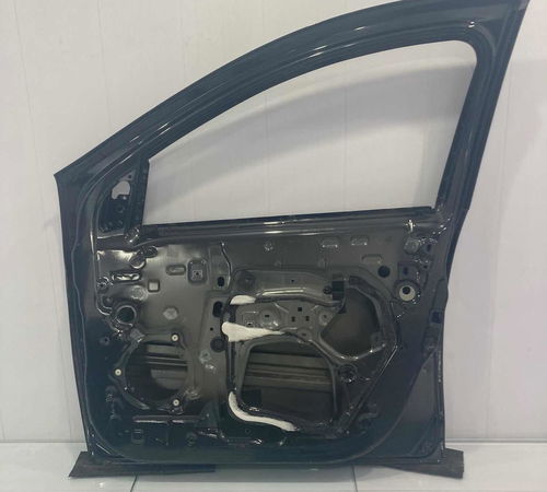 Porta Dianteira Direita Renault Sandero 2015/2019 Com Detalh