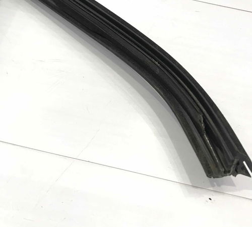 Borracha Canaleta Dianteira Esquerda Volkswagen Tiguan 2016