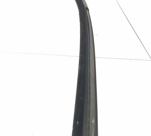 Borracha Canaleta Dianteira Direita Ford Ecosport 2003/12