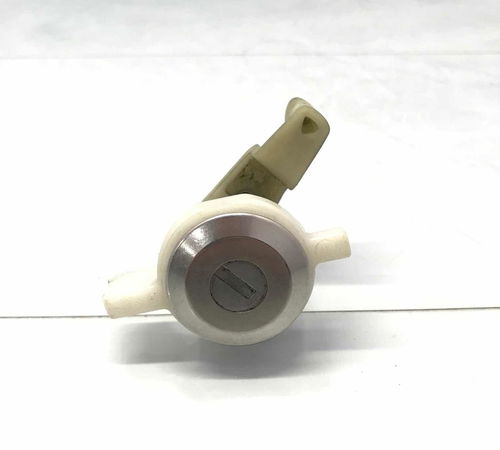 Miolo Cilindro Porta Dianteira Direita Renault Clio 2012