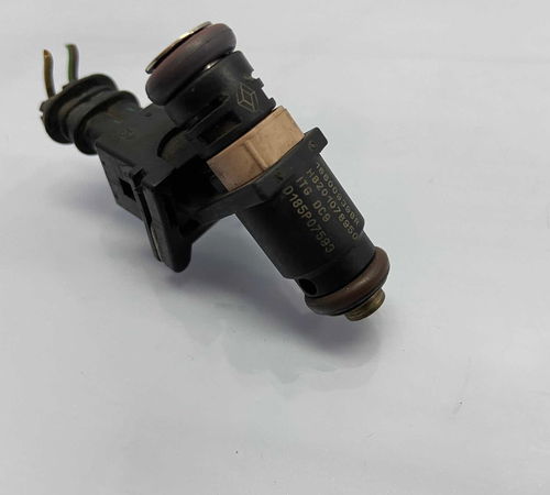 Bico Injetor 2.0 Renault Duster 2010/2018